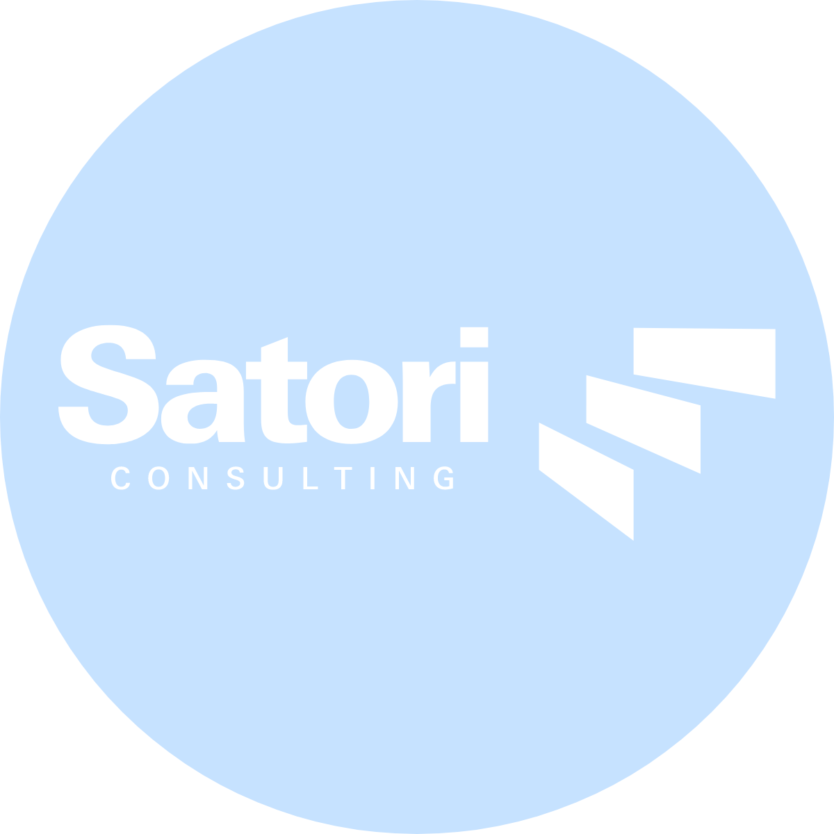 satori partner page logo